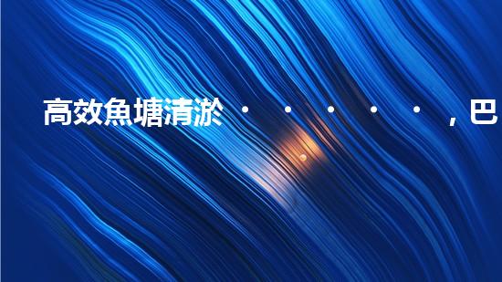 高效魚塘清淤，巴洛仕設(shè)備助力生態(tài)養(yǎng)殖